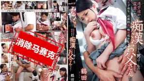 【数位破解】SDMT-992 在通学途中的电车头一次对我进行痴汉的男人…竟然是我的爸爸！ 鹤田香奈