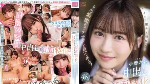 【数位破解】MIDA-306 专攻颜射。她会一直盯着你，直到你射进她阴道的那一刻！甜美、温柔，有时还带着冰冷的自慰支持。主观的阴道内射，注视着射精的全过程。小野六花