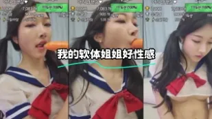 kbj-24010208 我的软件姐姐好性感