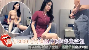 酒店3000约操24岁D奶南航空姐 纯天然的大奶子空姐