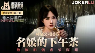 MMZ-035 名媛的下午茶 放浪形骸虚荣深渊 赵一曼