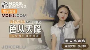 MSD-015 色从天降 入室相奸肉欲发泄 李小婵
