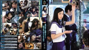 [无码版]TEAM-065 绝顶高潮的女子校 辻本杏